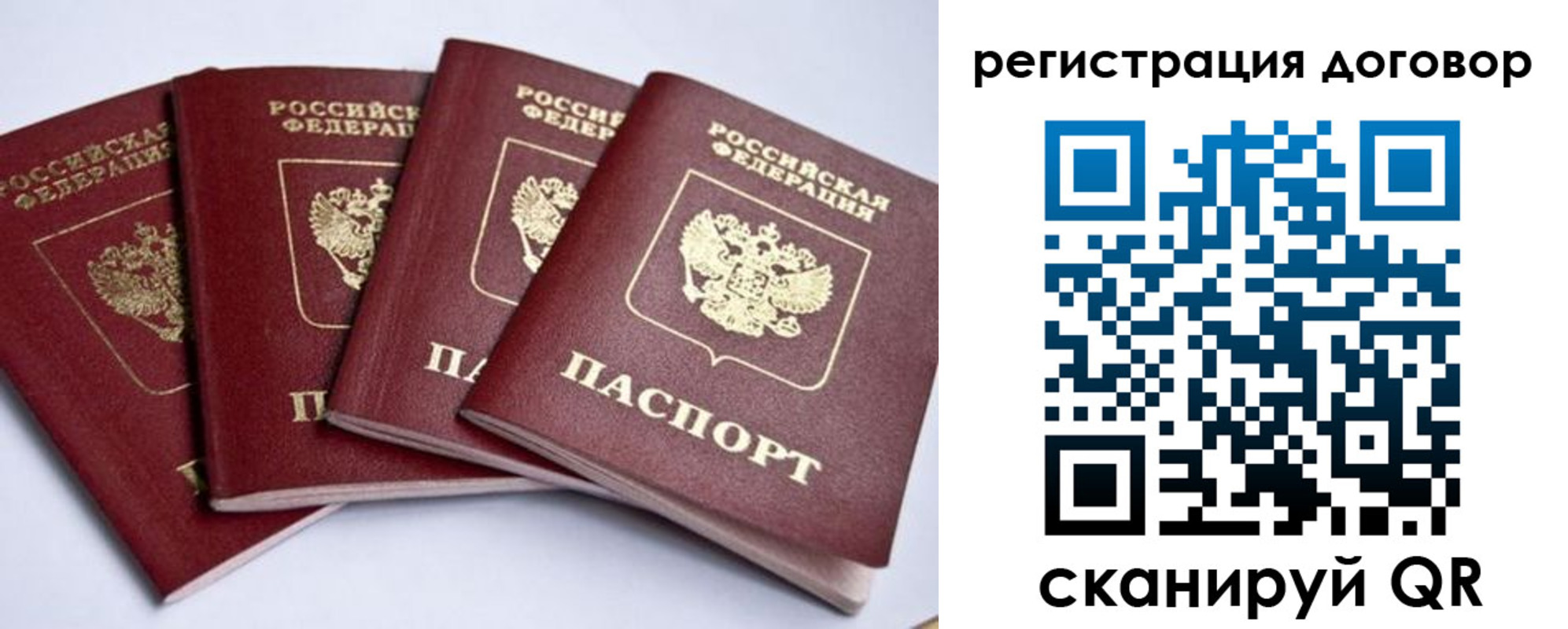 прописка поиск в Новгородской области